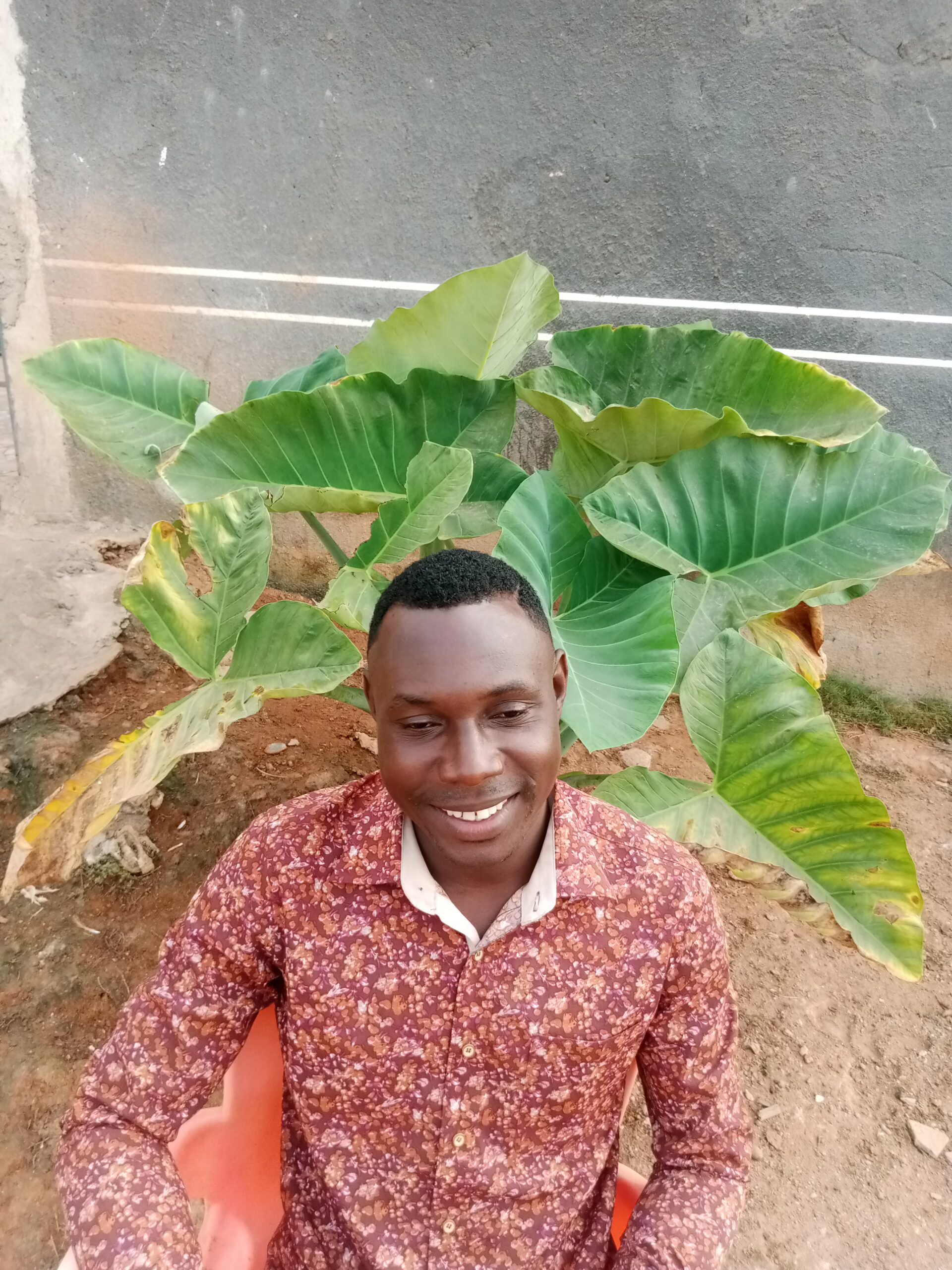 Comment investir dans l&rsquo;élevage d&rsquo;escargot sans perdre un sou ?